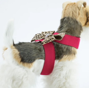 Susan Lanci Designs Nouveau Jungle Print Bow Tinkie Dog Harness